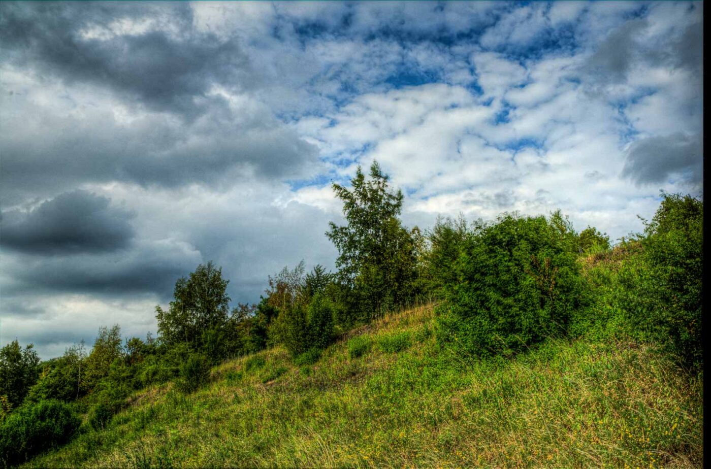 2017-06-25 - NSG Halde Pluto-Wilhelm HER-Wanne