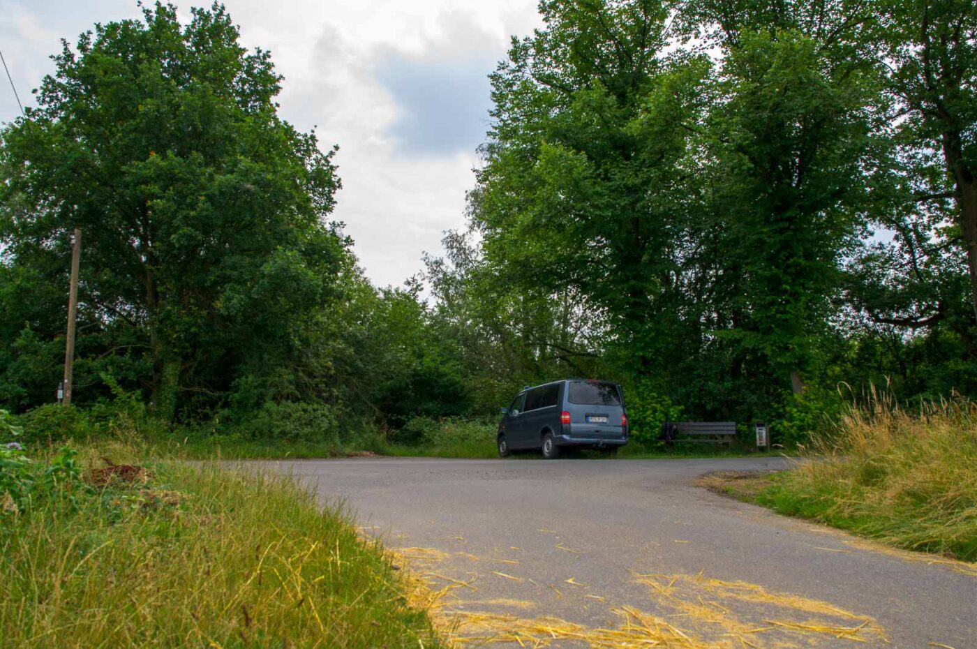 2017-07-05 - NSG Braucksenke Marl