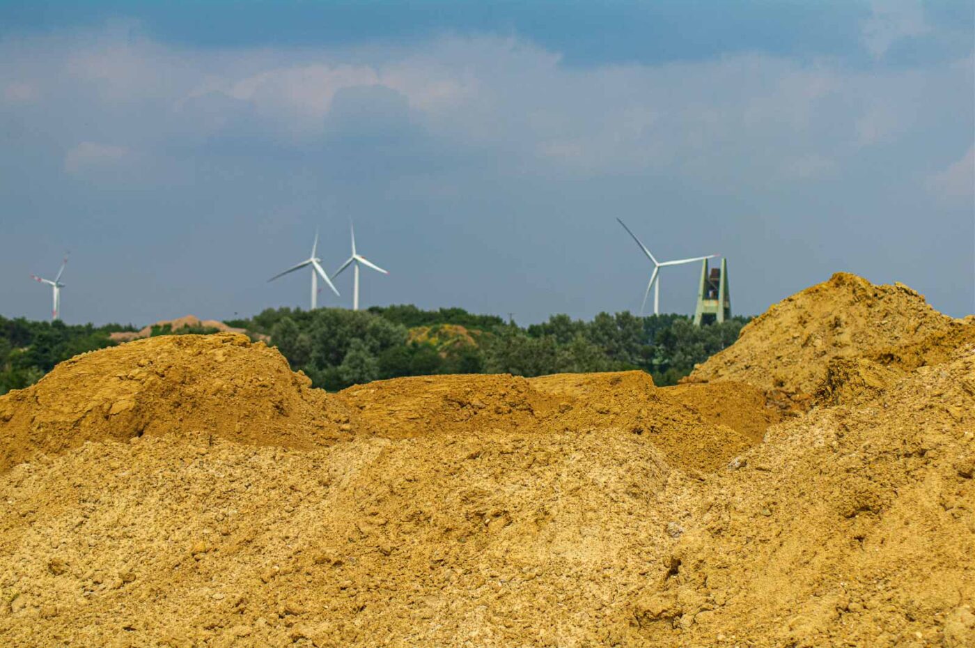 2017-07-05 - NSG Braucksenke Marl