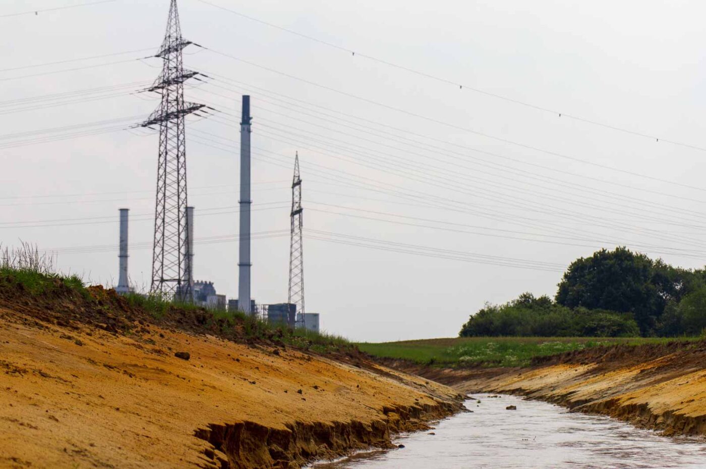 2017-07-05 - NSG Braucksenke Marl