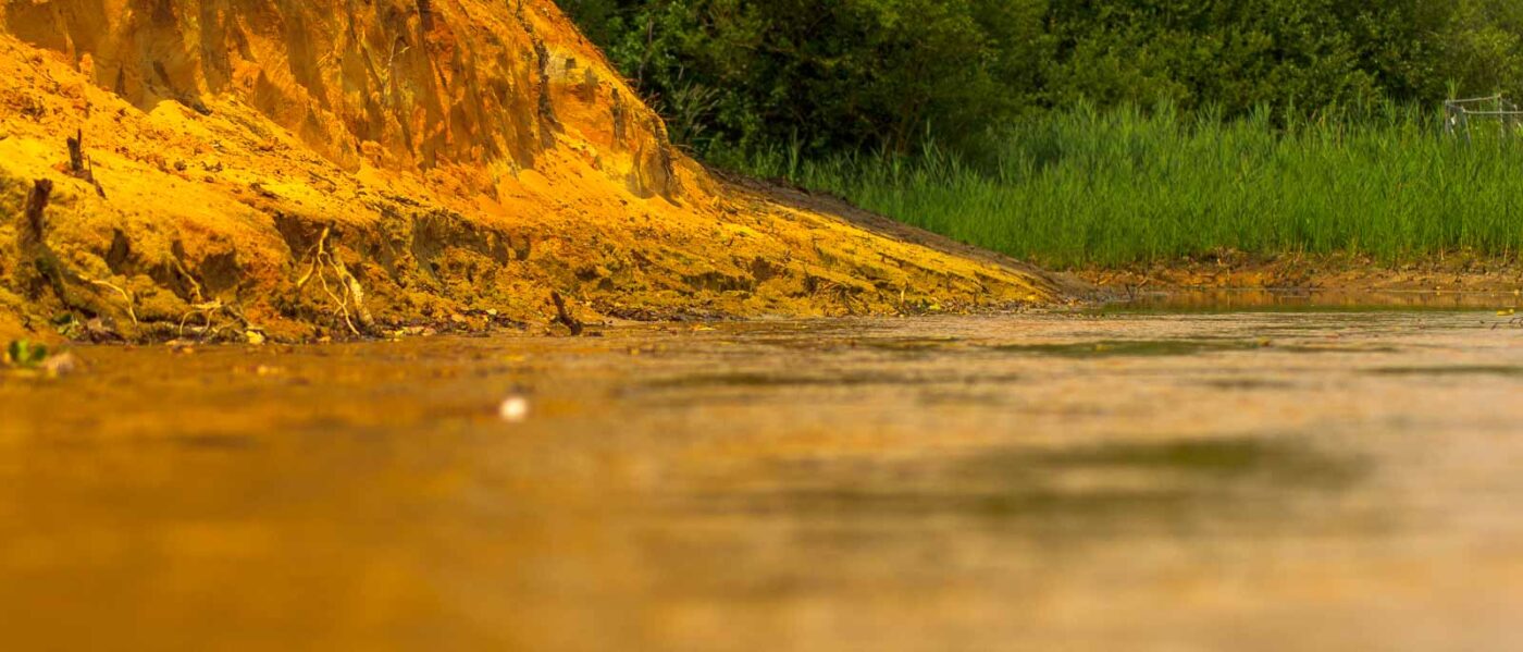 2017-07-05 - NSG Braucksenke Marl