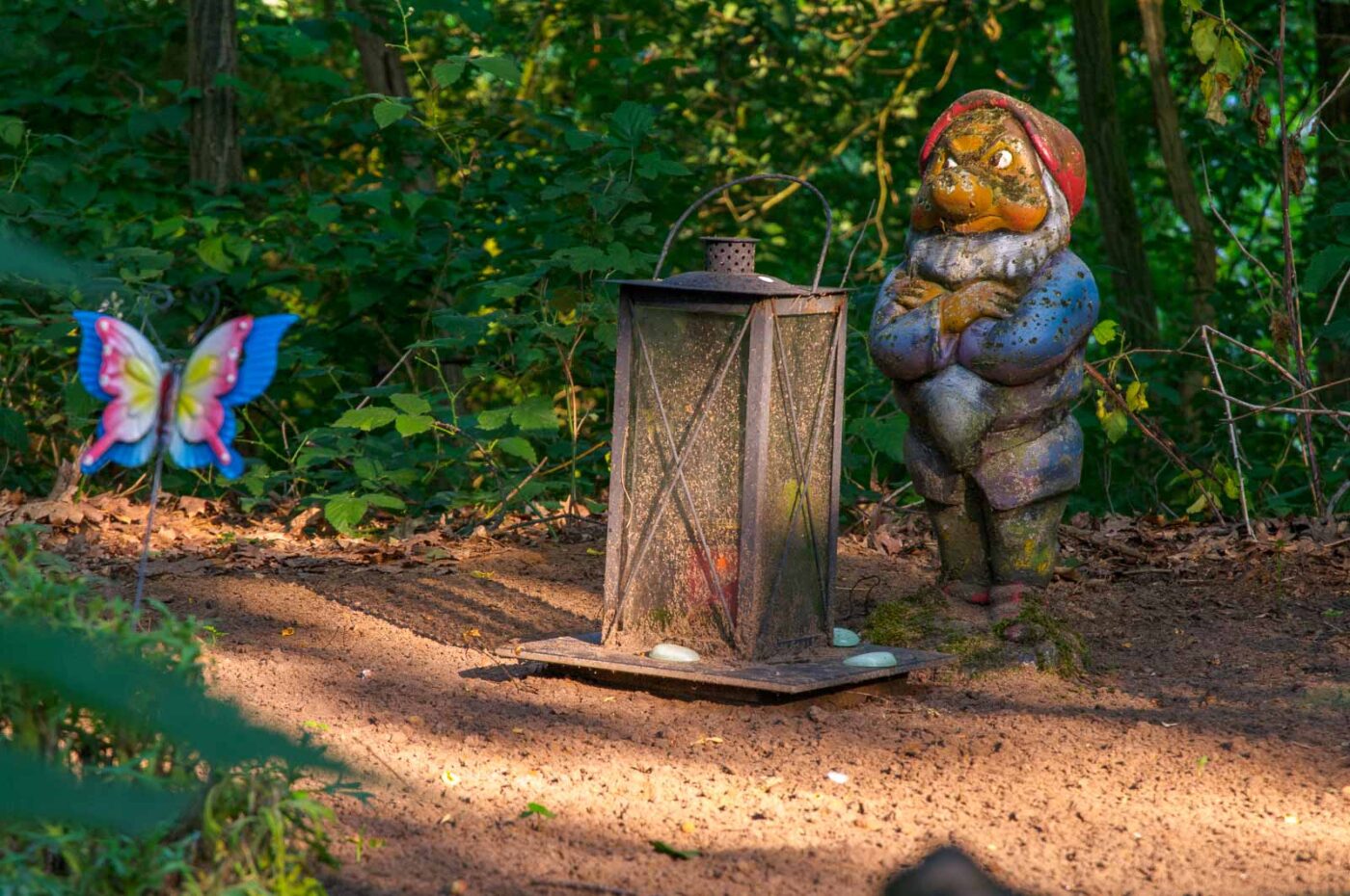 2017-07-05 - NSG Braucksenke Marl