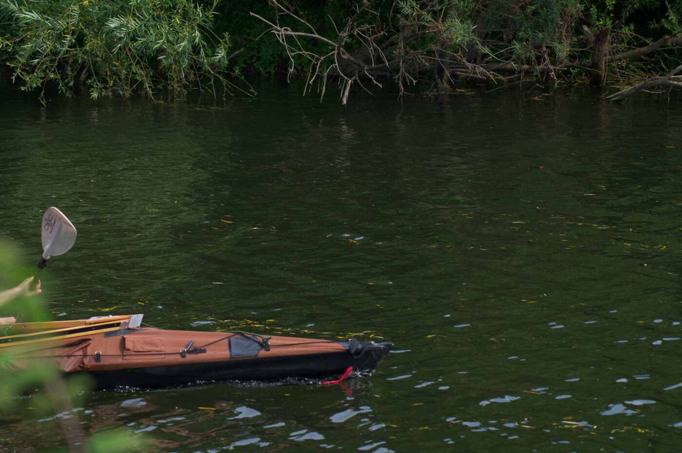 2017-07-07 - NSG Lippewiesen Haltern