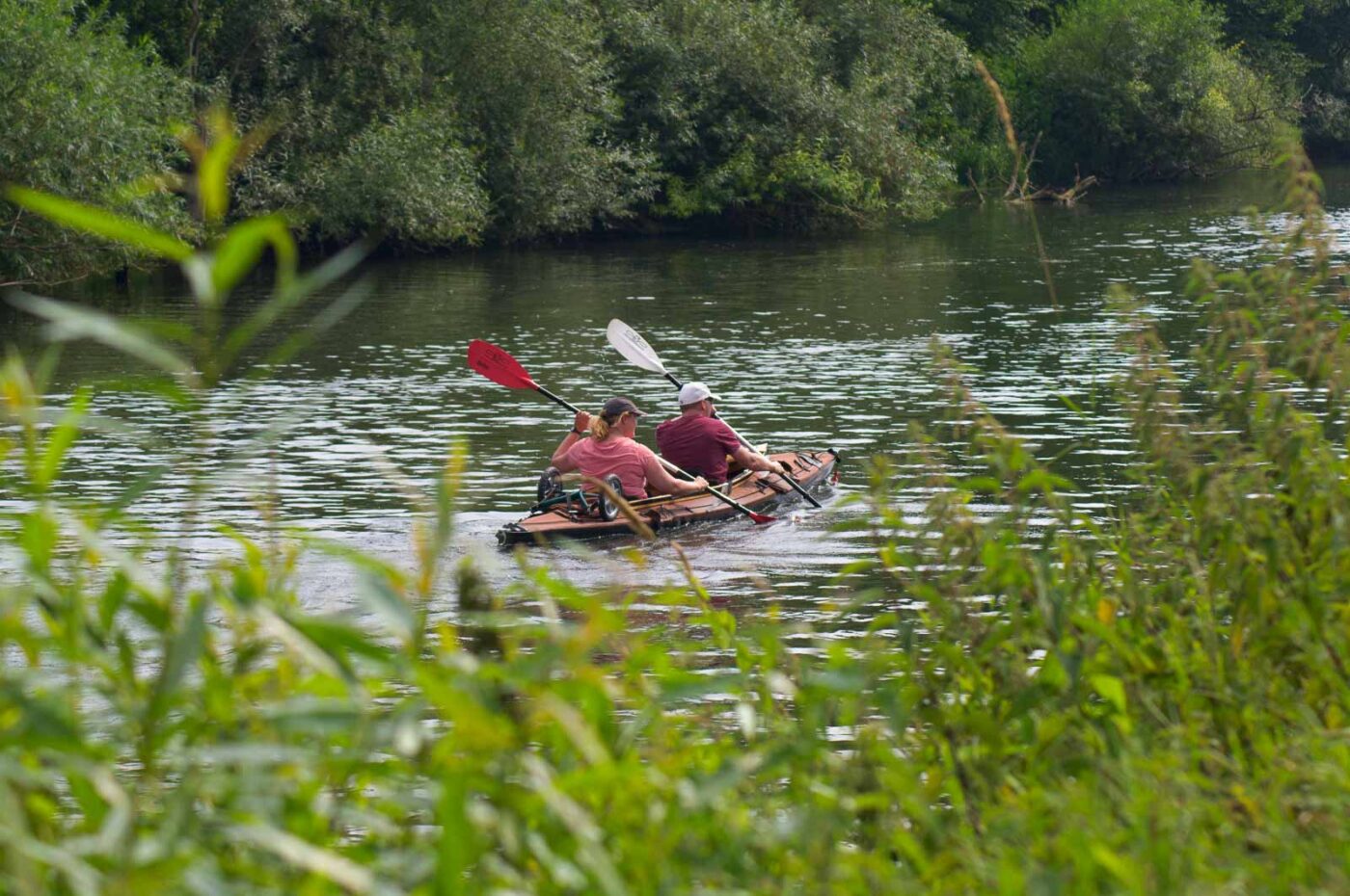 2017-07-07 - NSG Lippewiesen Haltern