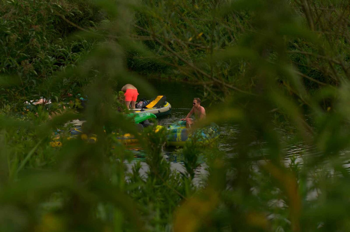 2017-07-07 - NSG Lippewiesen Haltern