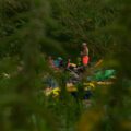 2017-07-07 - NSG Lippewiesen Haltern