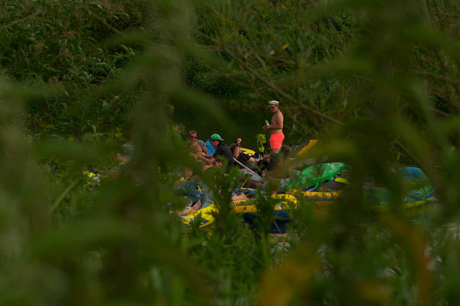 2017-07-07 – NSG Lippewiesen Haltern