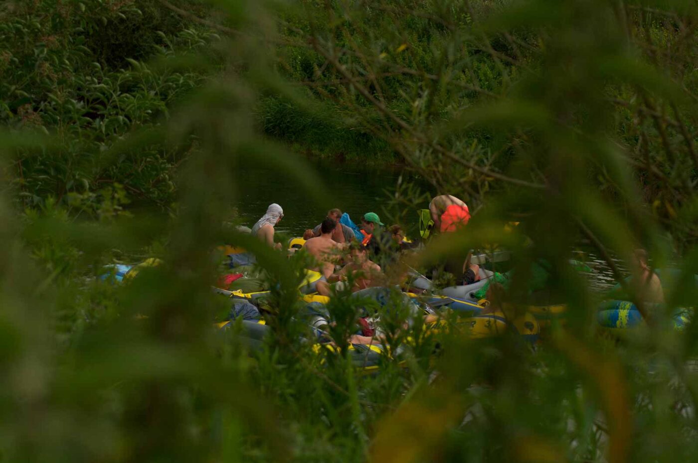 2017-07-07 - NSG Lippewiesen Haltern