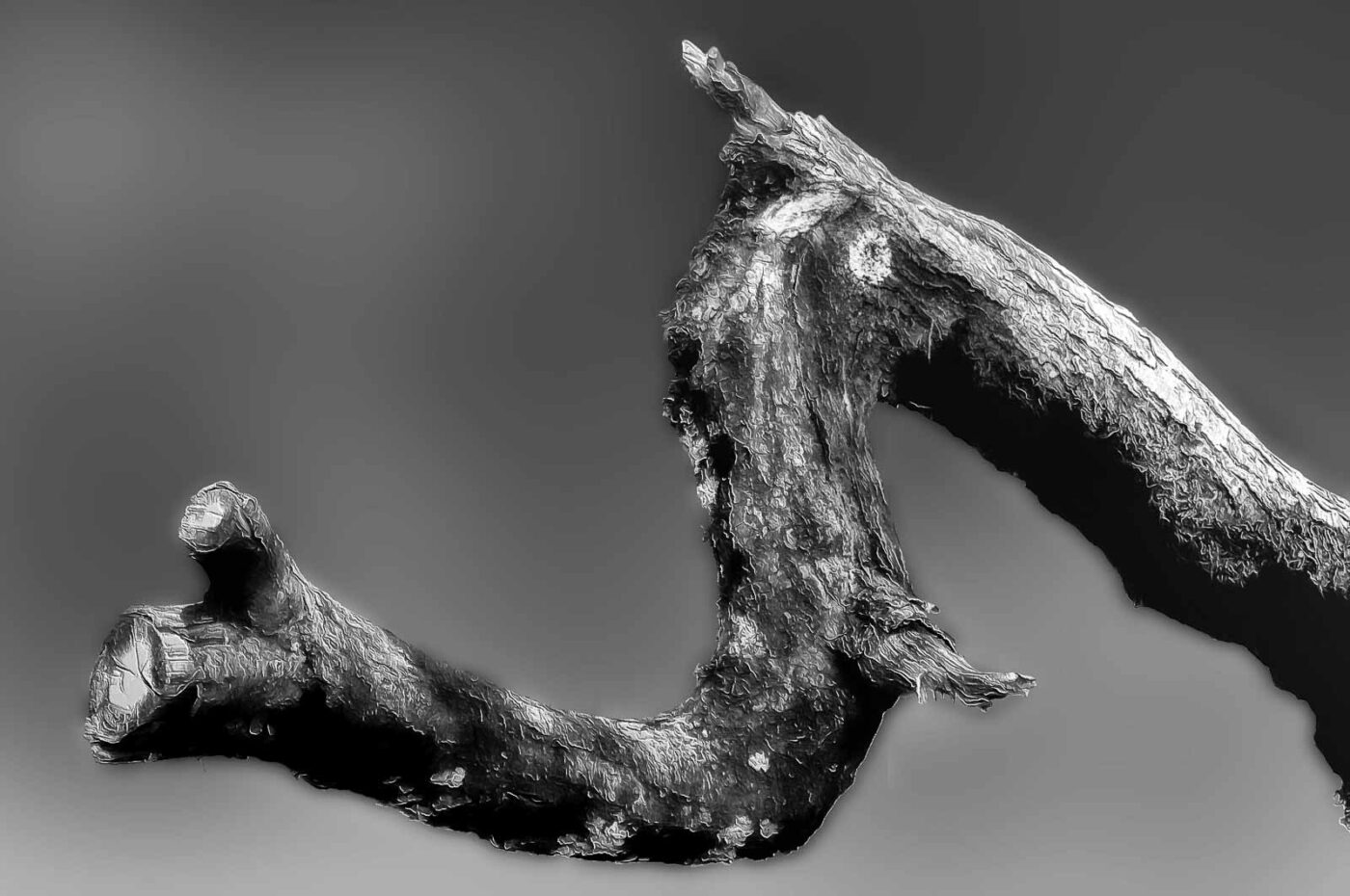 2017-07-13 - NSG Westruper Heide Haltern