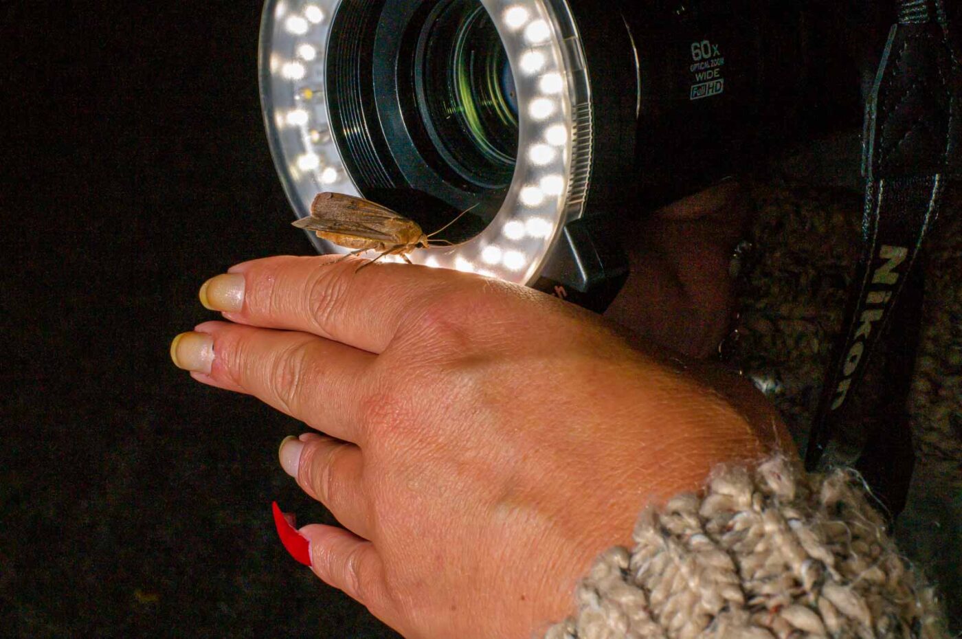 2017-07-30 - NSG Halde Pluto-Wilhelm HER-Wanne