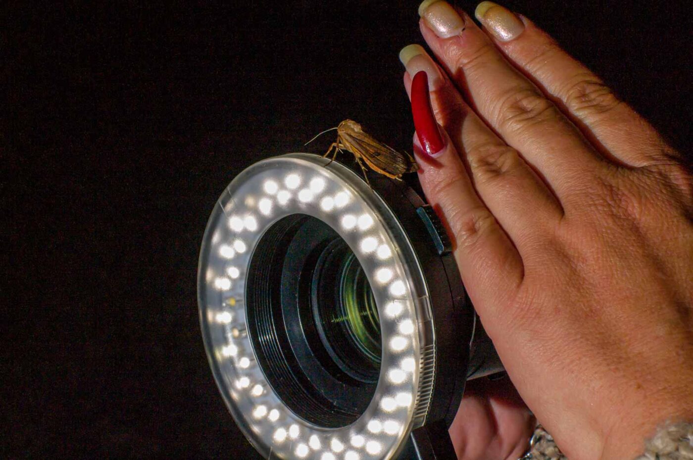 2017-07-30 - NSG Halde Pluto-Wilhelm HER-Wanne