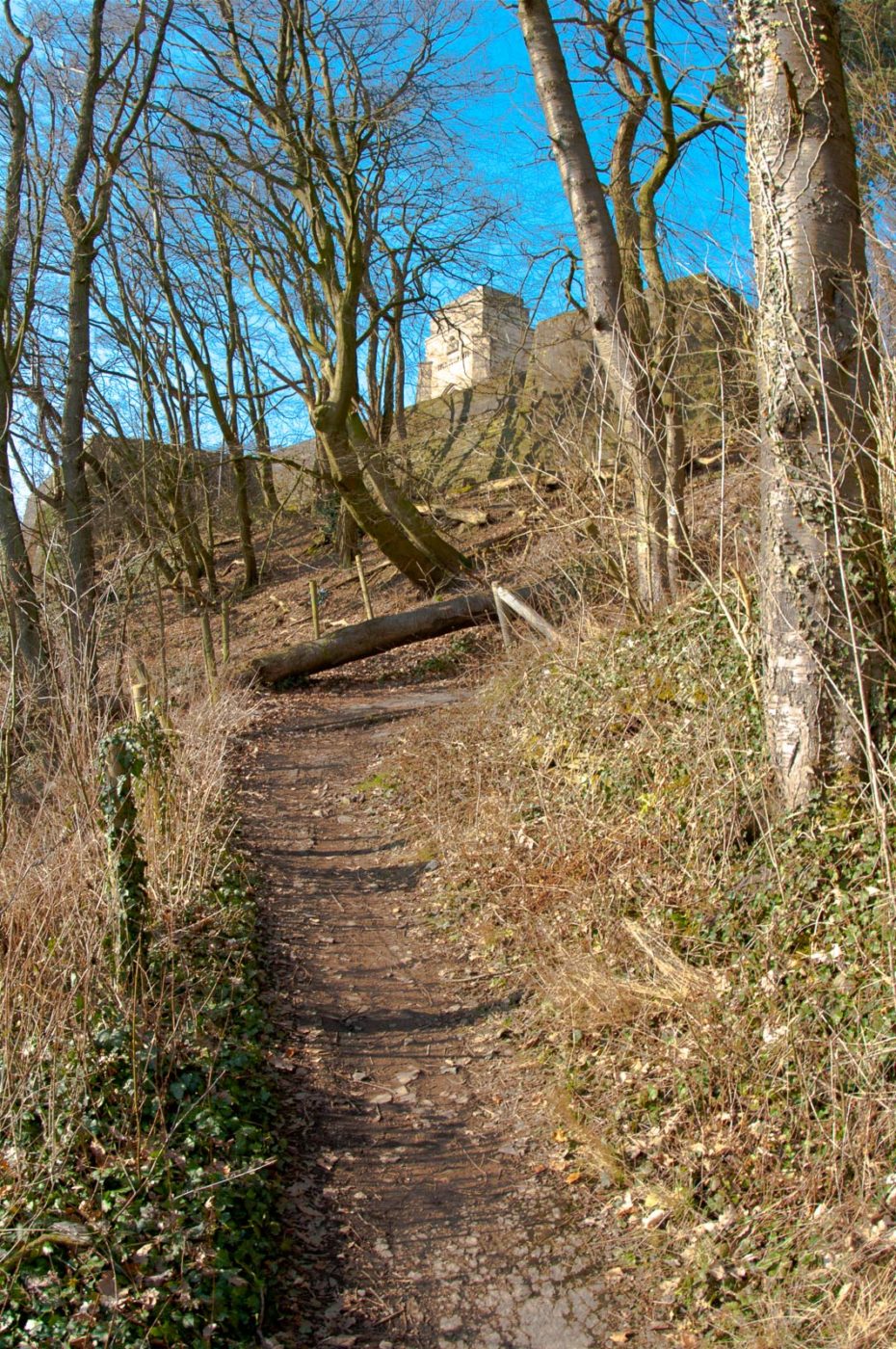 2018-02-20 - NSG Syburg Dortmund