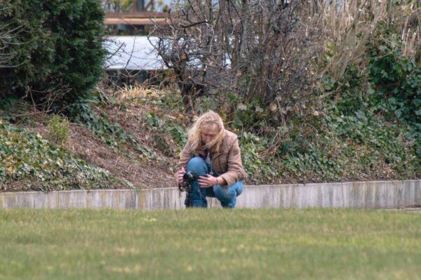 2018-03-27 - NSG Hohe Mark - Heiden