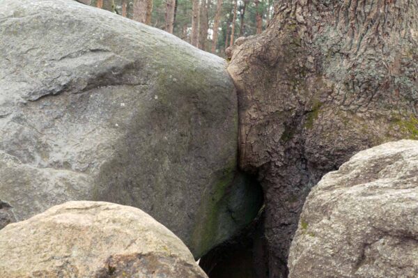 2018-03-27 - NSG Hohe Mark - Heiden