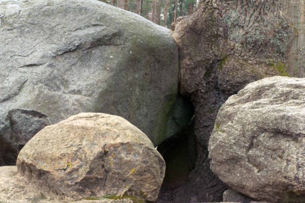 2018-03-27 - NSG Hohe Mark - Heiden