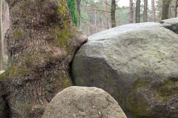 2018-03-27 - NSG Hohe Mark - Heiden