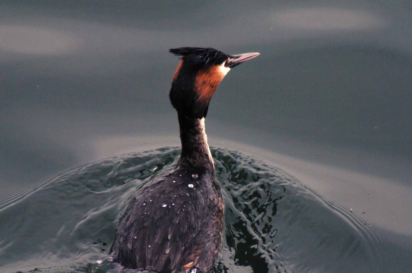 2018-03-30 - KOEPCHENWERK Herdecke