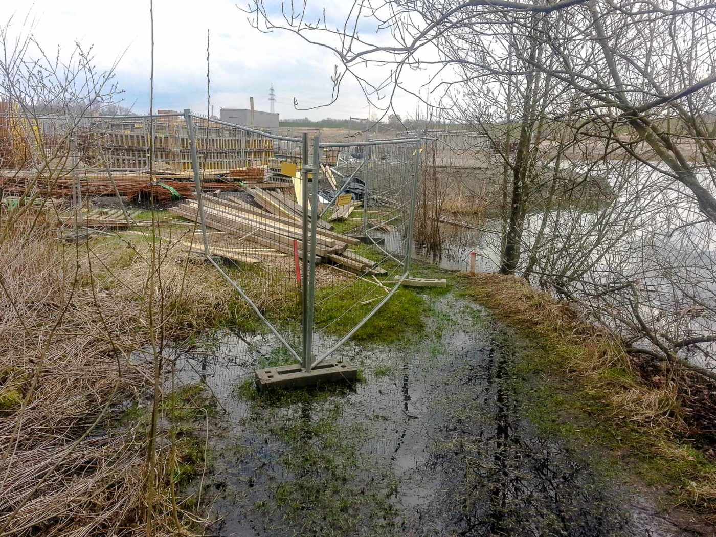 2018-03-31 - NSG Braucksenke Marl