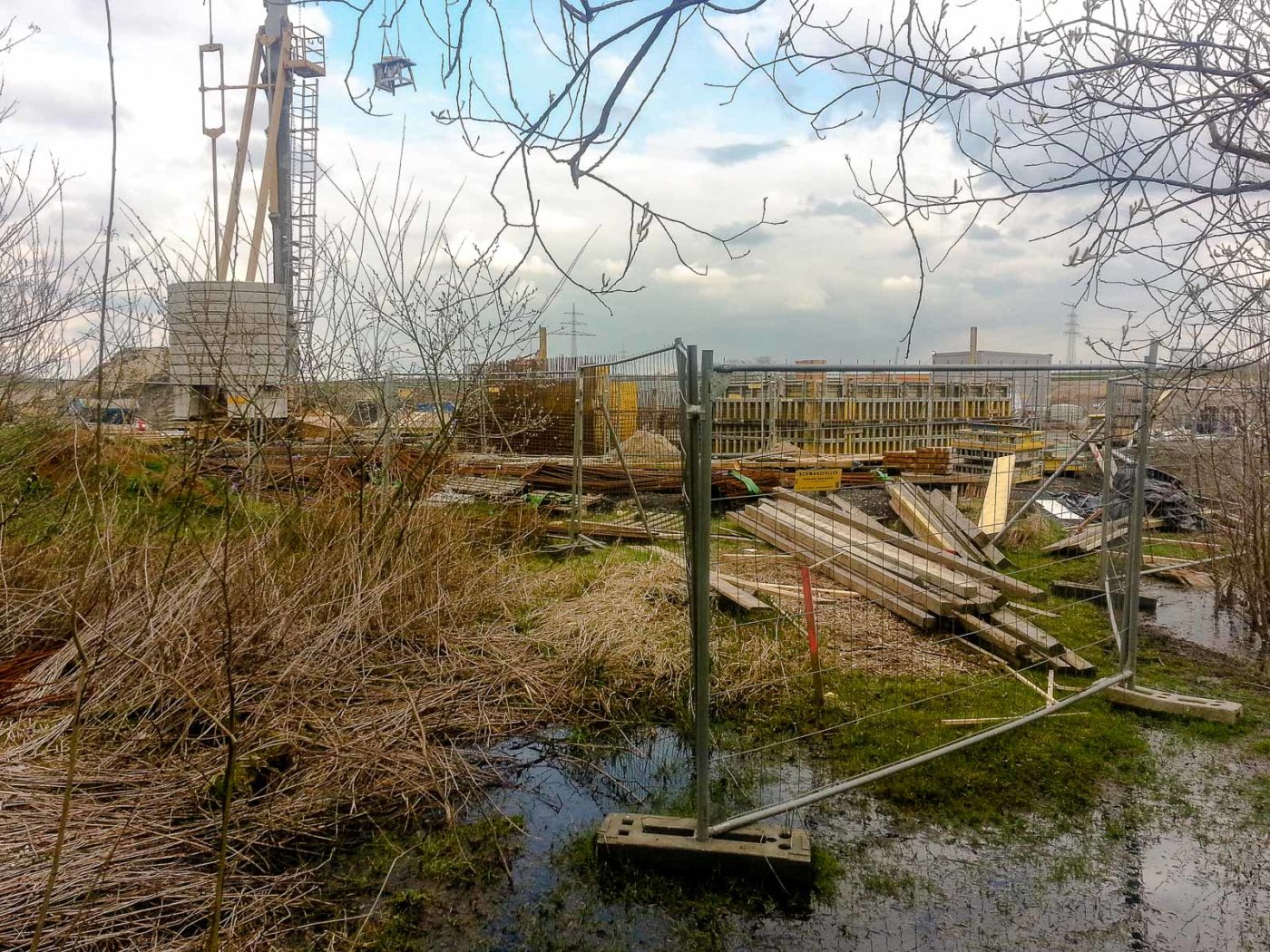 2018-03-31 - NSG Braucksenke Marl