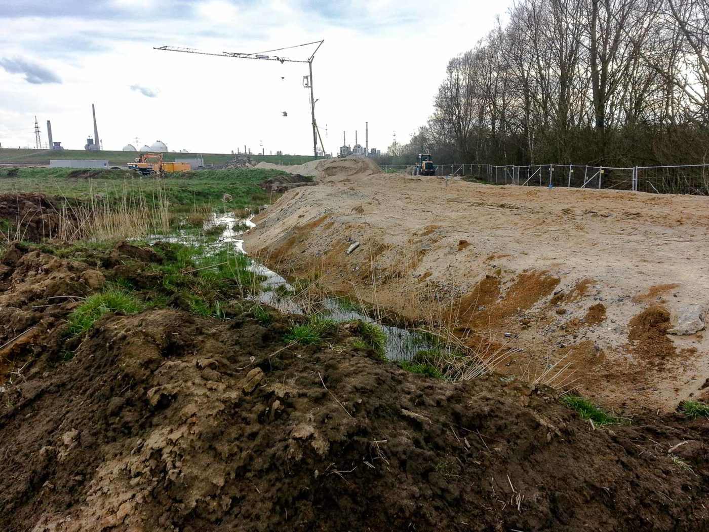2018-03-31 - NSG Braucksenke Marl