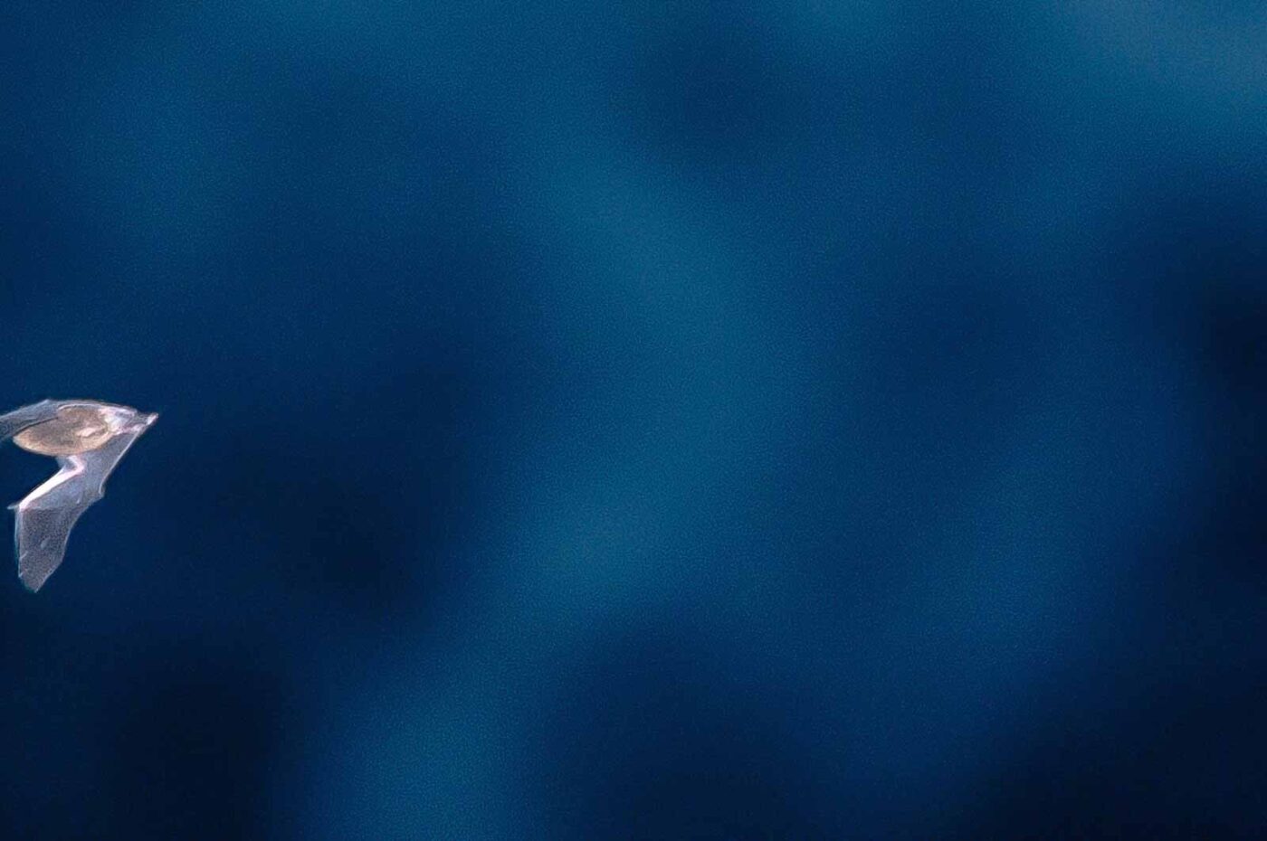 2018-04-28 - RE-Sidenzia auf'm BallKong