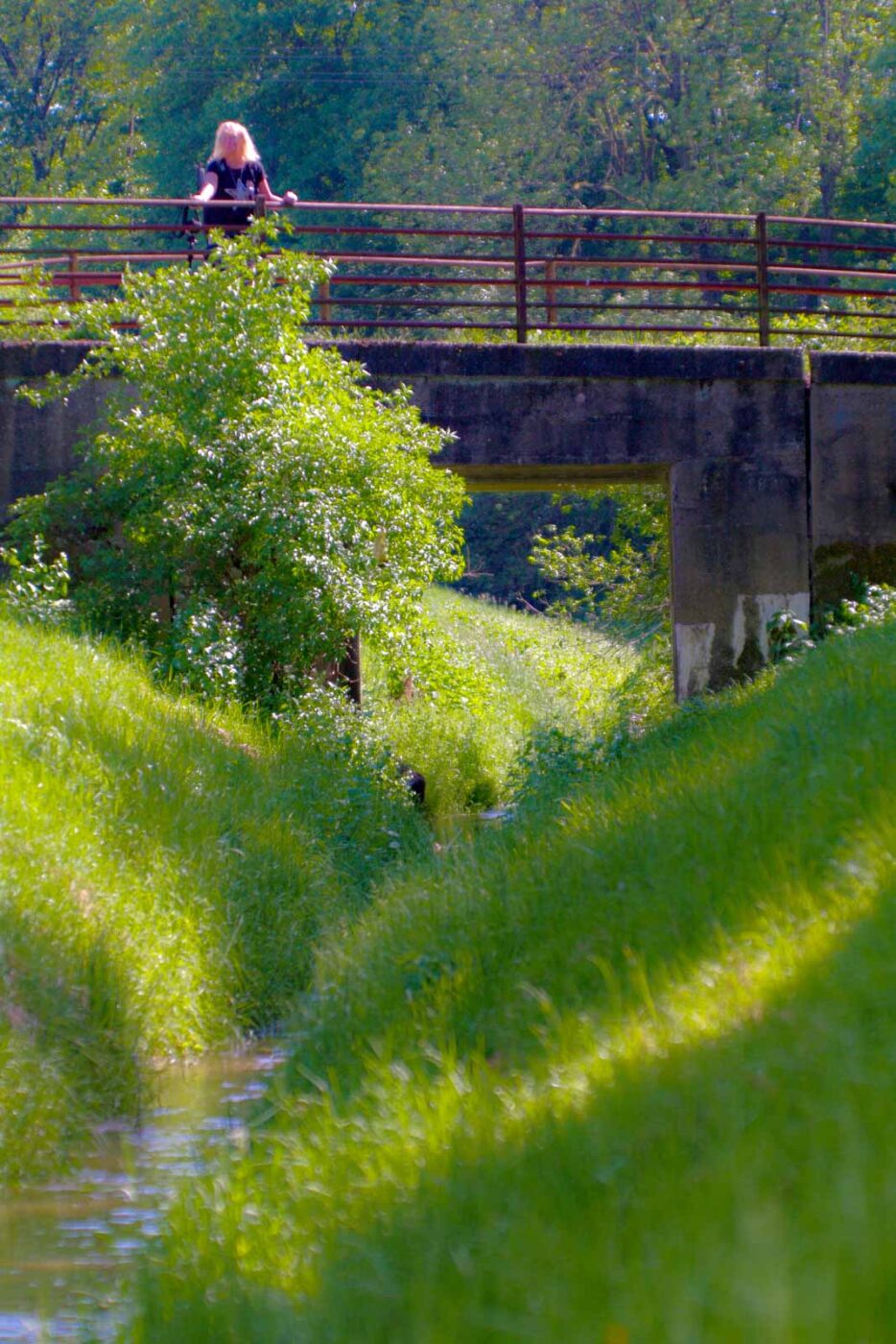 2018-05-07 - NSG Blumenkamp Bochum