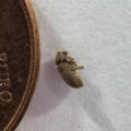 2018-05-19 - RE-Sidenzia - HolyHalla
