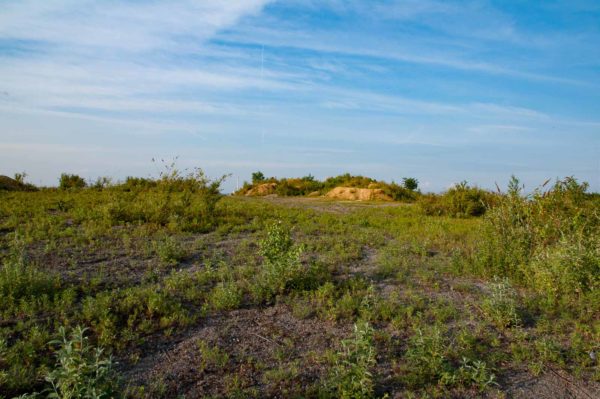 2018-05-25 - NSG Wollkippe (Deponie Becker) HER GE BO