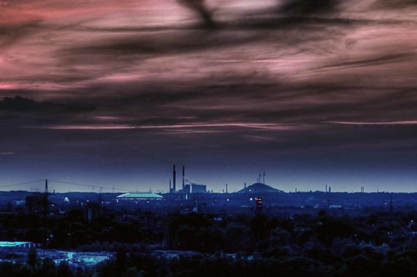 2018-05-25 - NSG Wollkippe (Deponie Becker) HER GE BO