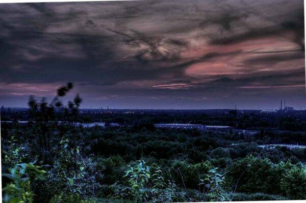 2018-05-25 - NSG Wollkippe (Deponie Becker) HER GE BO