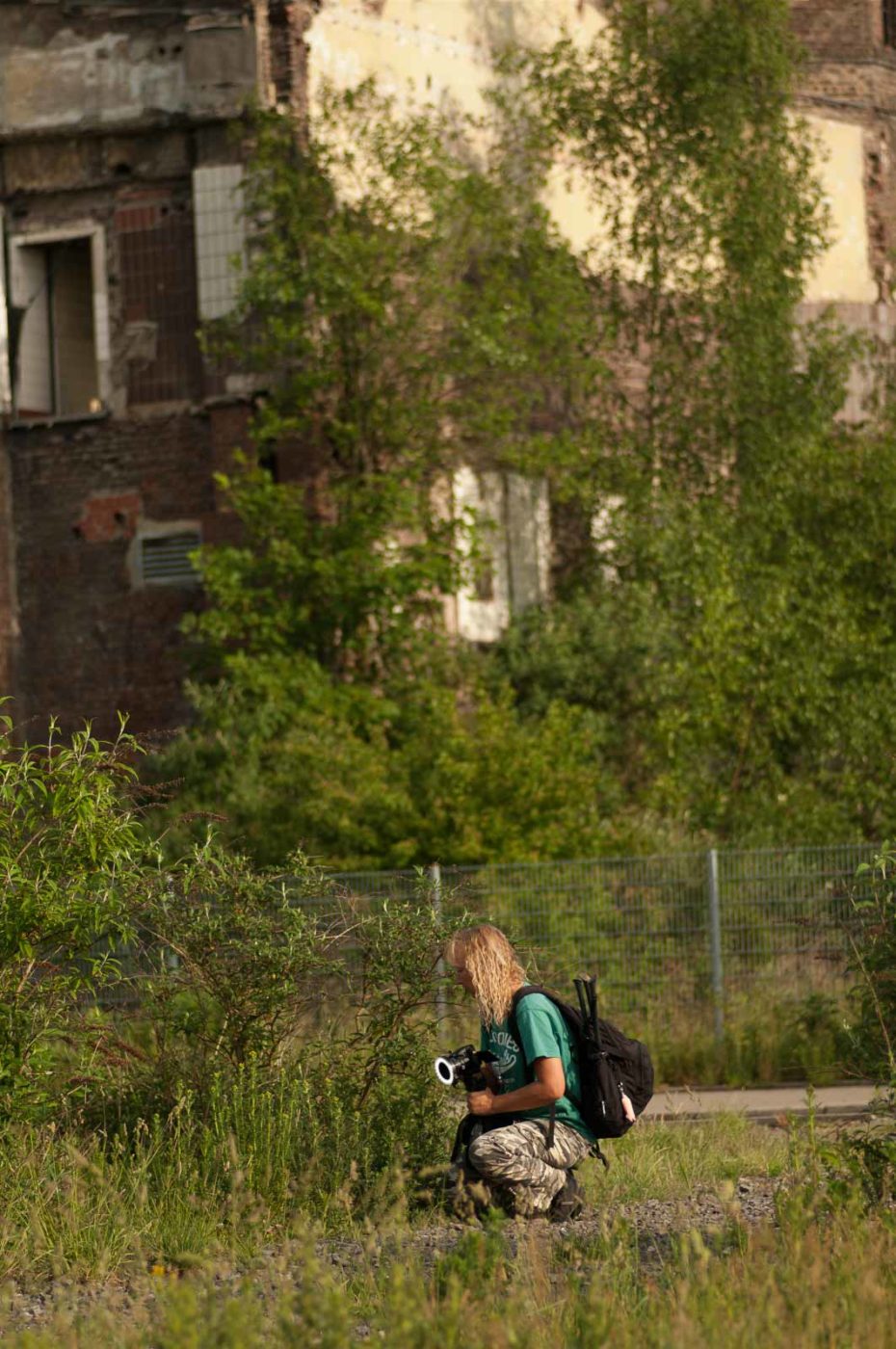 2018-05-31 - NSG Bergehalde Unser-Fritz