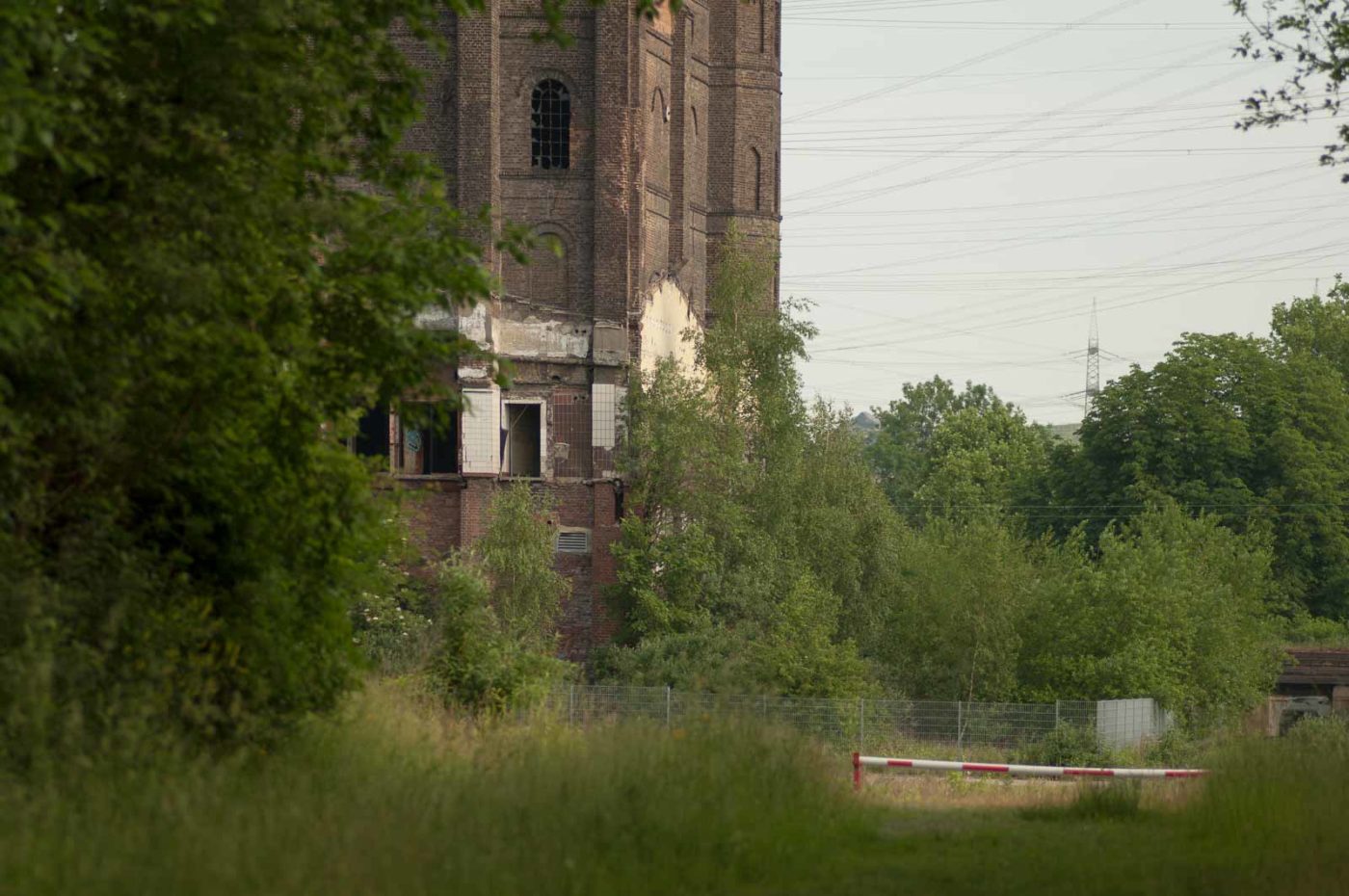 2018-05-31 - NSG Bergehalde Unser-Fritz