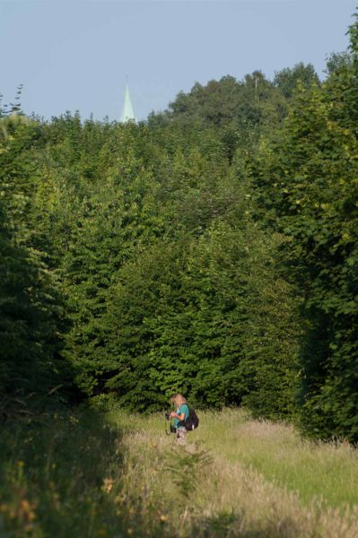 2018-06-06 - NSG Bergehalde Unser-Fritz