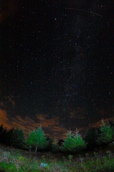 2018-07-13 - NSG Offenlandinsel Osterwald
