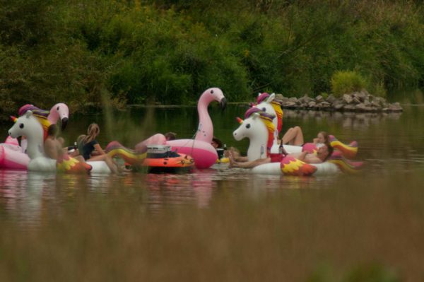 2018-08-21 - NSG Lippewiesen Haltern