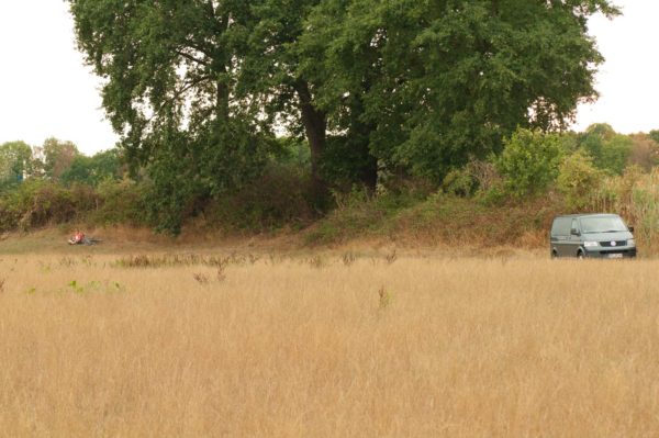 2018-08-21 - NSG Lippewiesen Haltern