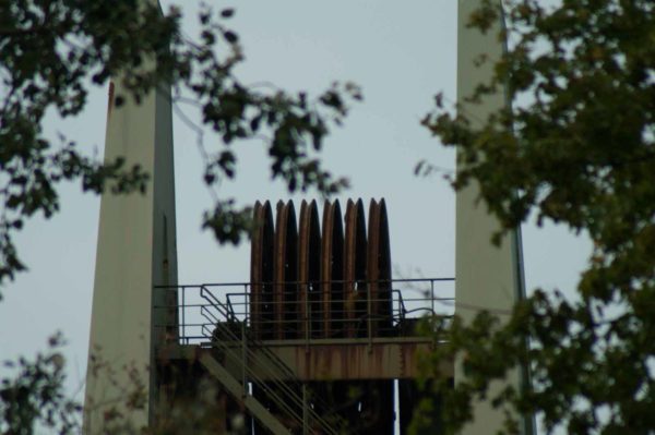 2018-08-21 - NSG Braucksenke Marl