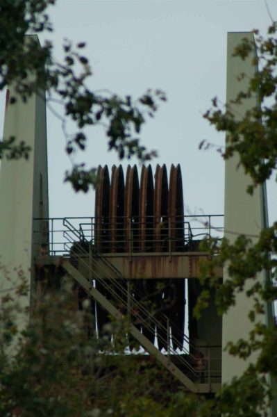 2018-08-21 - NSG Braucksenke Marl