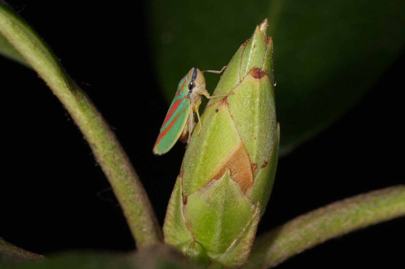 2018-08-28 - EmscherValleyWay Recklinghausen