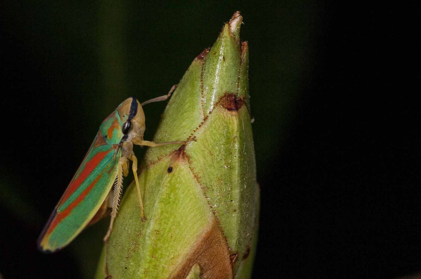 2018-08-28 - EmscherValleyWay Recklinghausen