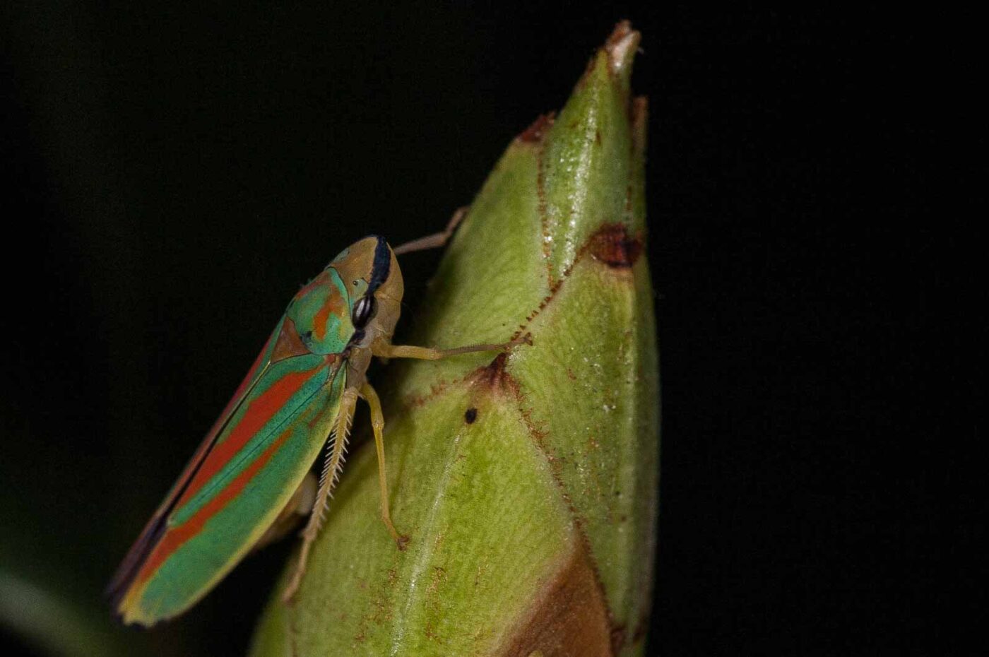 2018-08-28 - EmscherValleyWay Recklinghausen