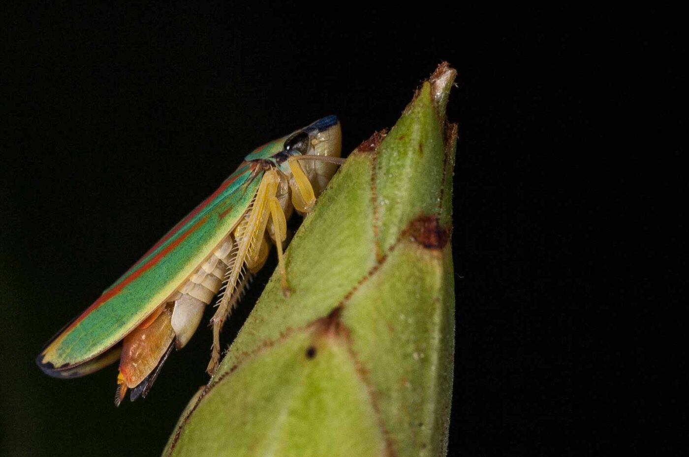 2018-08-28 - EmscherValleyWay Recklinghausen