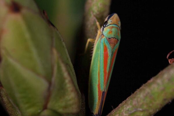 2018-08-28 - EmscherValleyWay Recklinghausen