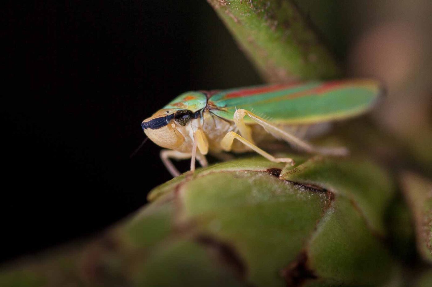 2018-08-28 - EmscherValleyWay Recklinghausen