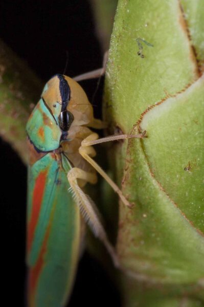 2018-08-28 - EmscherValleyWay Recklinghausen