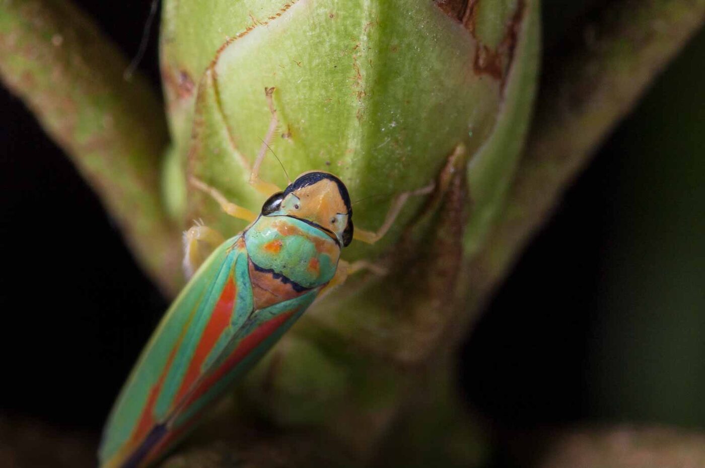 2018-08-28 - EmscherValleyWay Recklinghausen