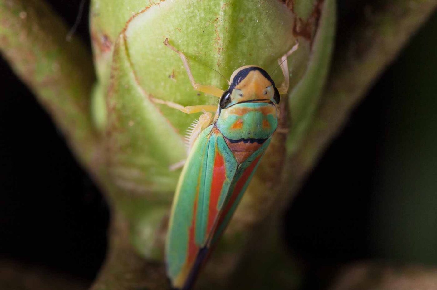 2018-08-28 - EmscherValleyWay Recklinghausen