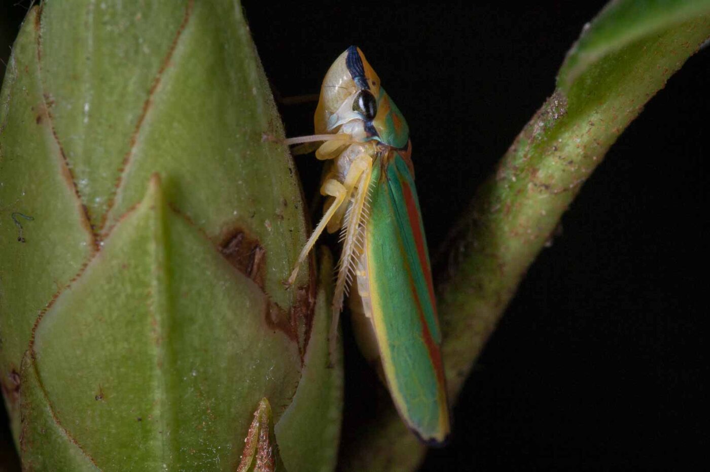 2018-08-28 - EmscherValleyWay Recklinghausen