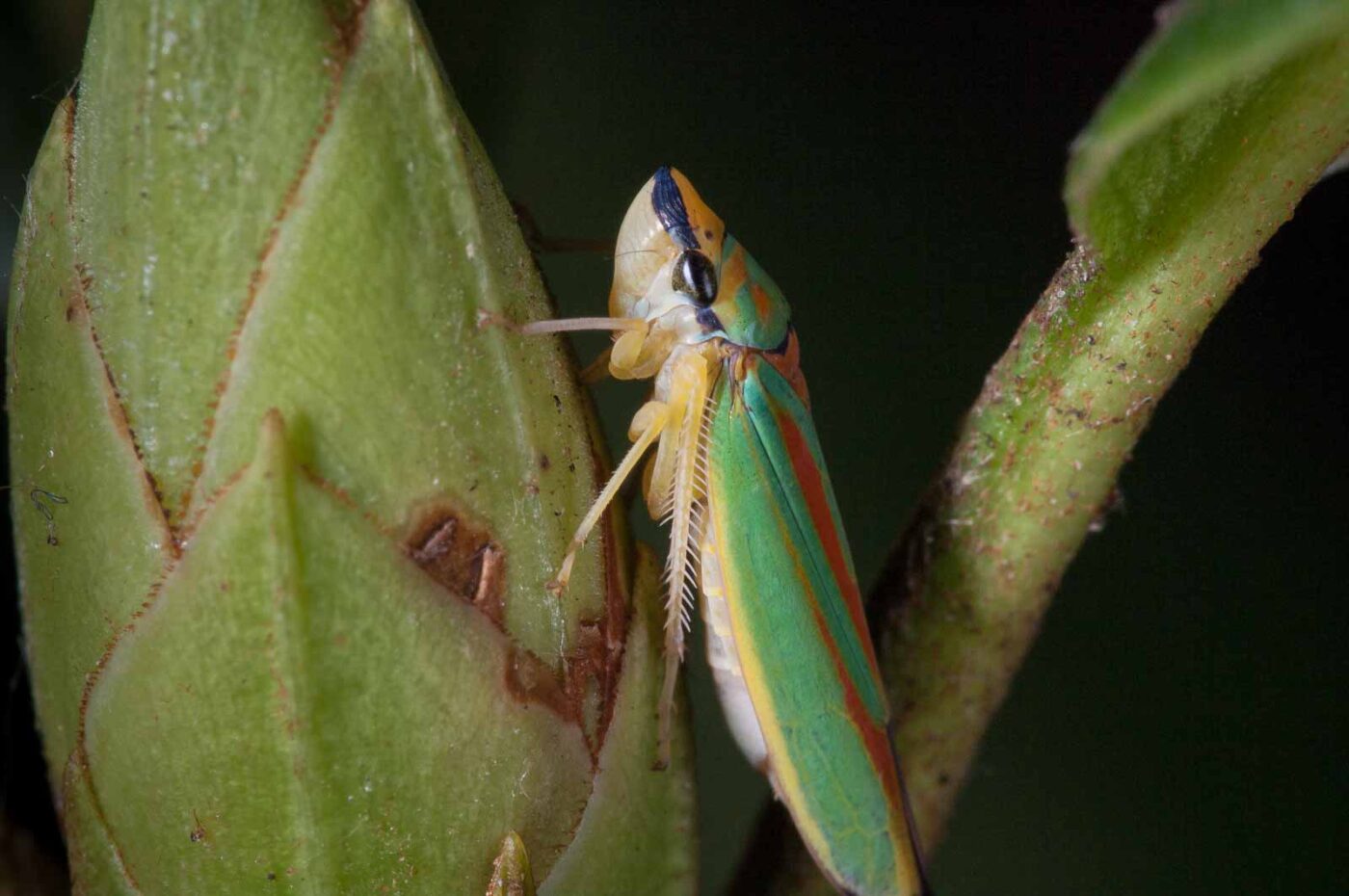 2018-08-28 - EmscherValleyWay Recklinghausen