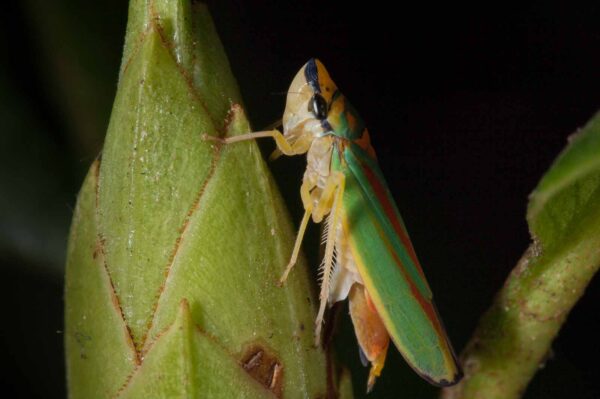 2018-08-28 - EmscherValleyWay Recklinghausen